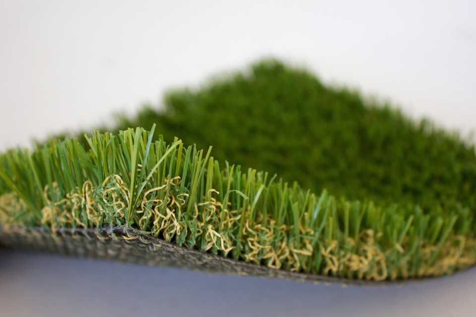 PetGrass-angle